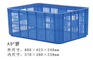 A9#黄瓜视频污在线观看周轉籮