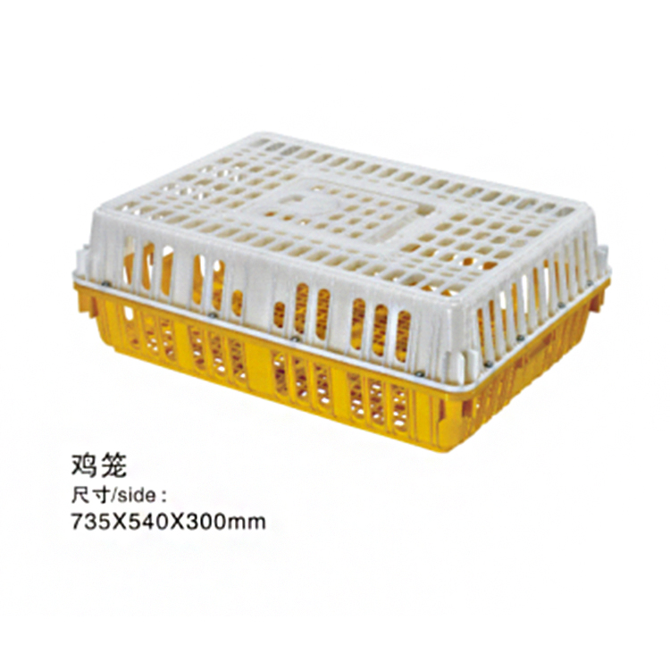雞籠.png